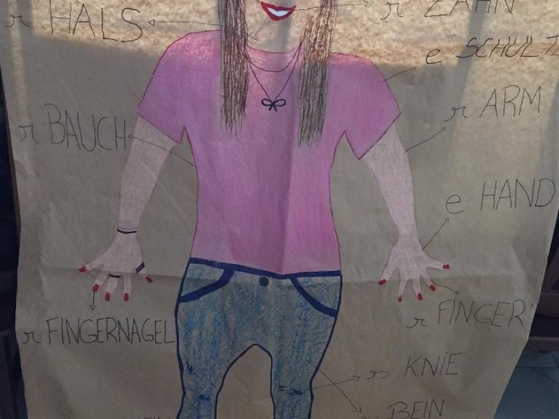 Corpo humano nas aulas de Língua Alemã