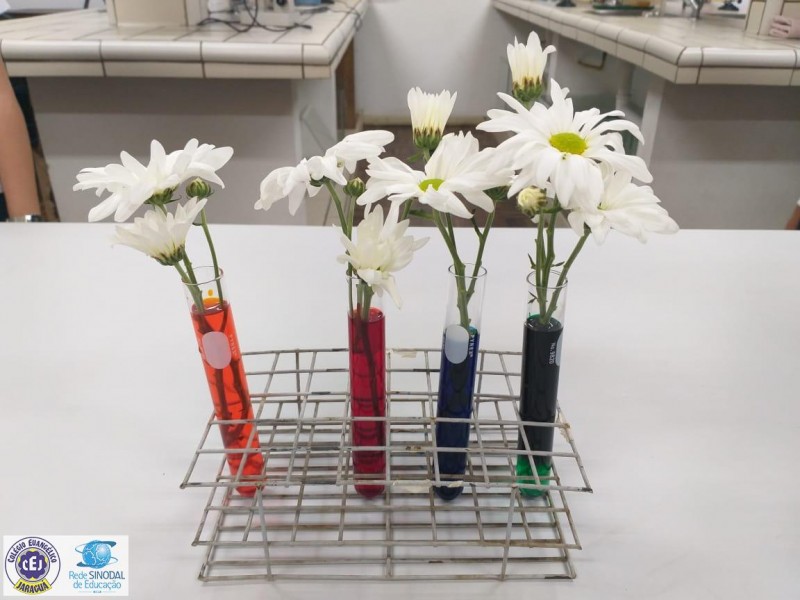 Experiências e aprendizagens