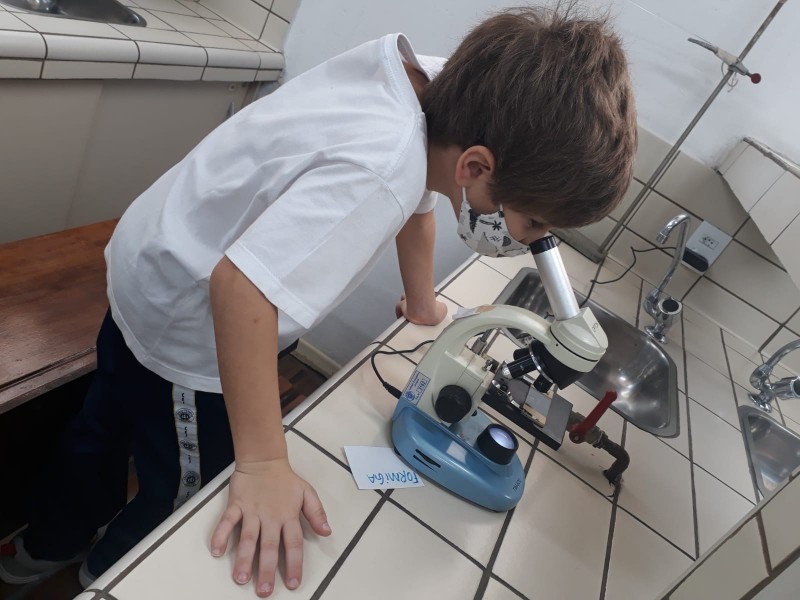 Momentos de aprendizado na turma do 1º ano A!