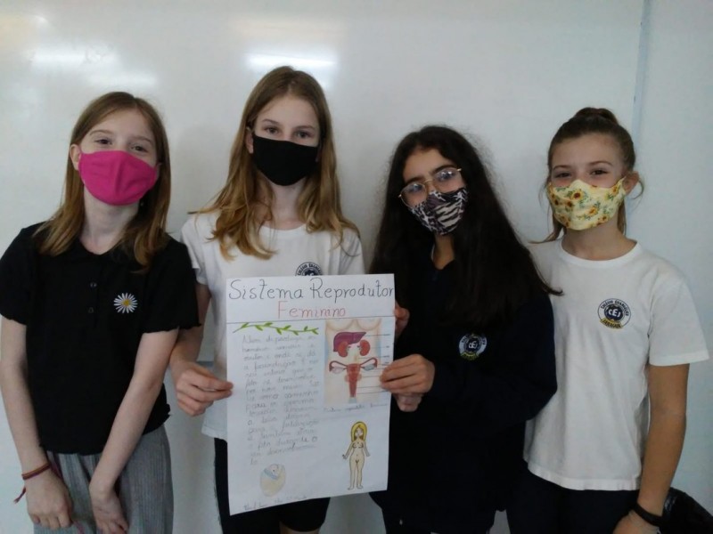 Sistemas do corpo humano