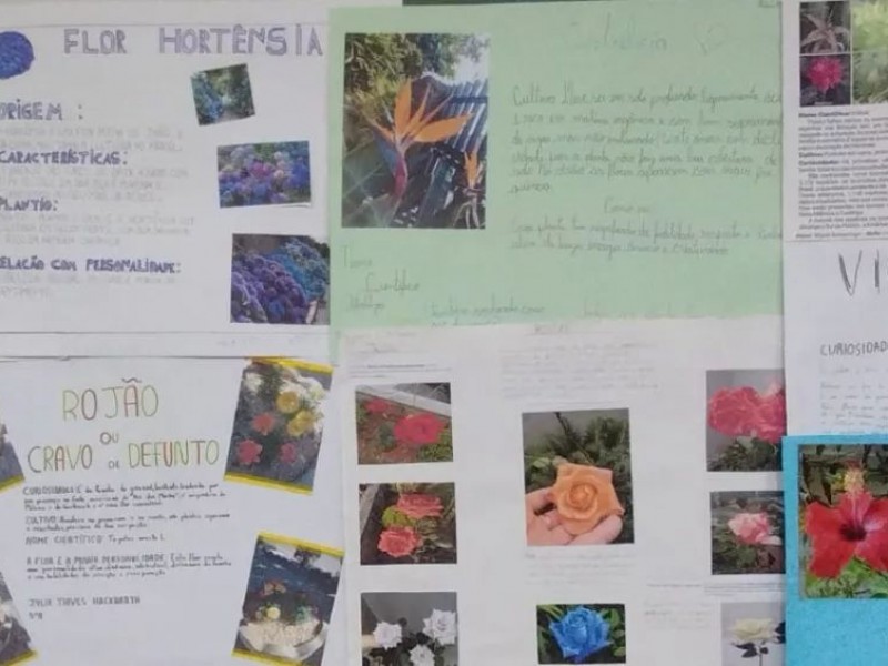 Alunos do Fundamental I estudam sobre as flores