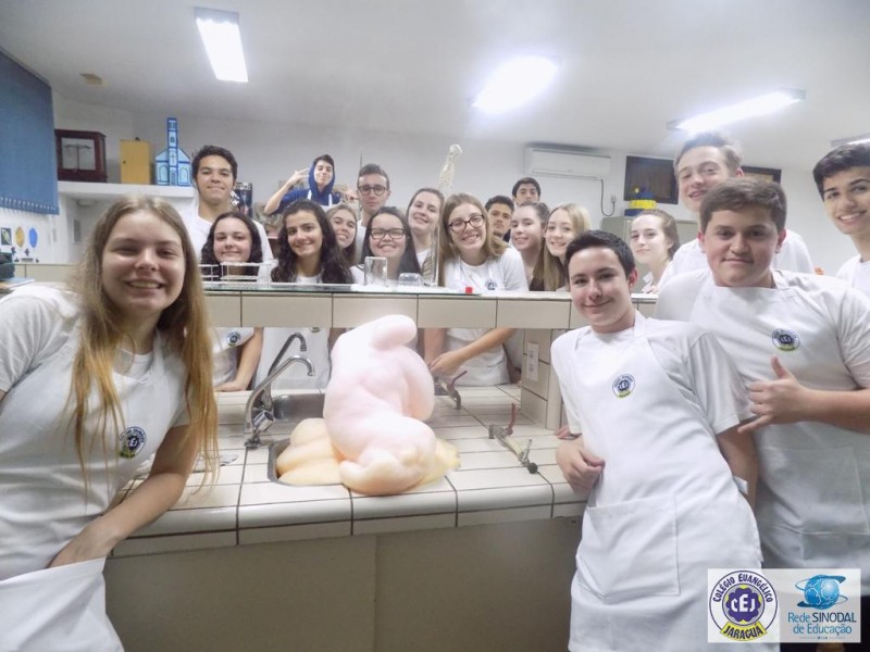 Testando a velocidade das reações!