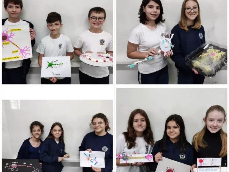 Confira os trabalhos dos alunos dos 6ºs anos na disciplina de Ciências. Construíram um neurônio agregando conhecimento e criatividade.