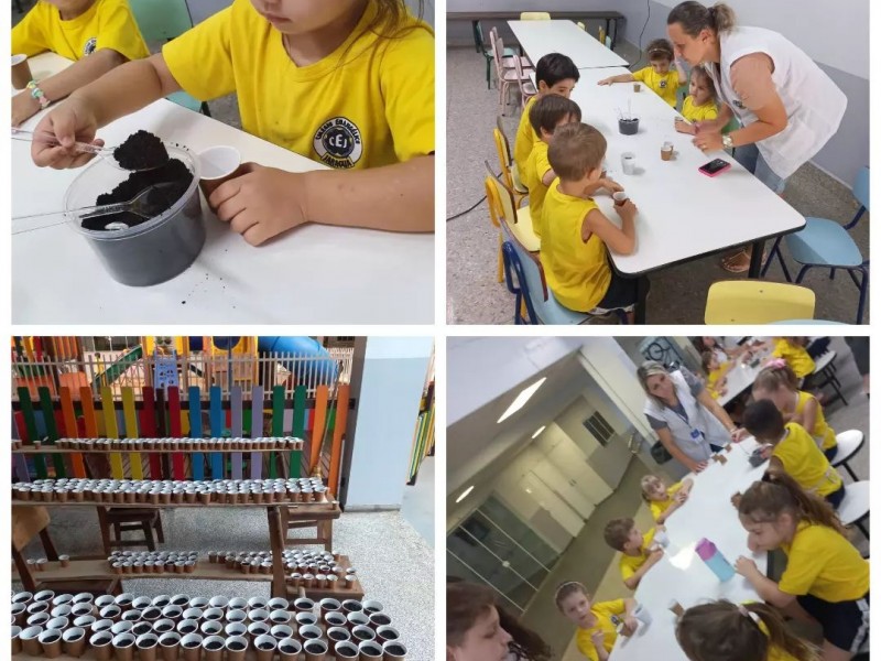 03/03 - Nos reunimos no refeitório para realizar o plantio de algumas sementes de girassol.