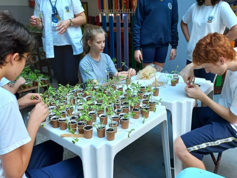 17/03  nossos girassóis completaram 2 semanas!