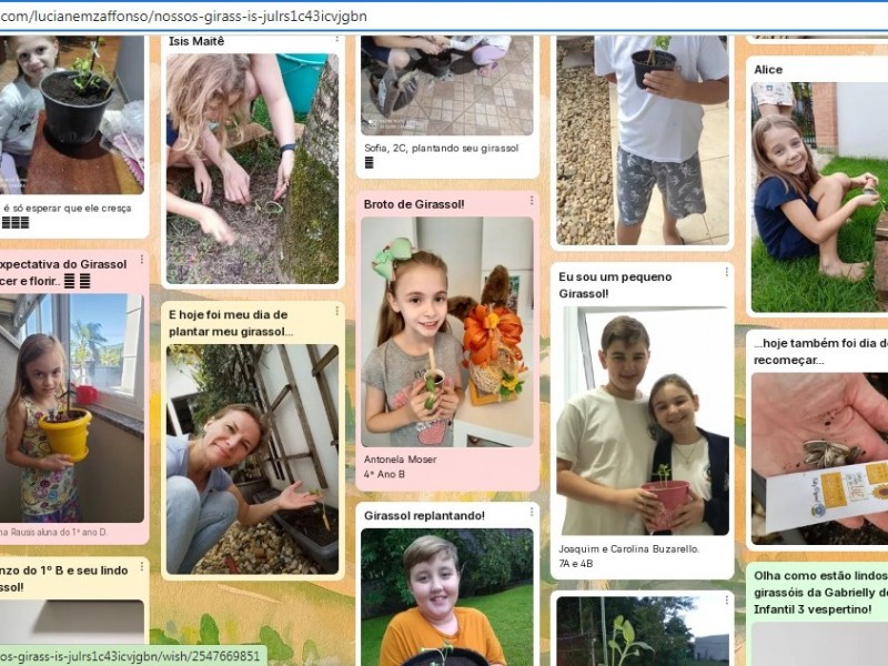 Há 60 dias iniciamos o nosso projeto dos Girassóis...
