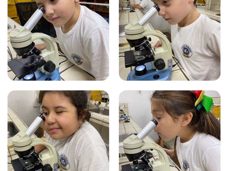 Visita ao laboratório!