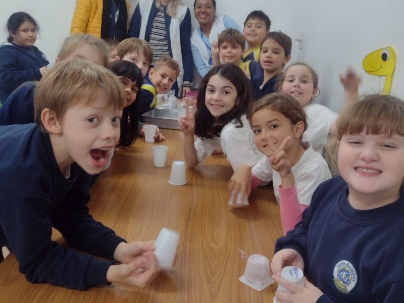 O mágico mundo das descobertas - Profissões