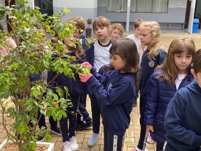 As turmas dos 2° anos A e D desenvolveram diversos experimentos científicos com a finalidade de ampliar o conhecimento e a curiosidade.